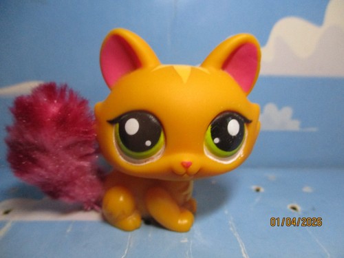 Petshop chat sphynx 2576 - petshop, /