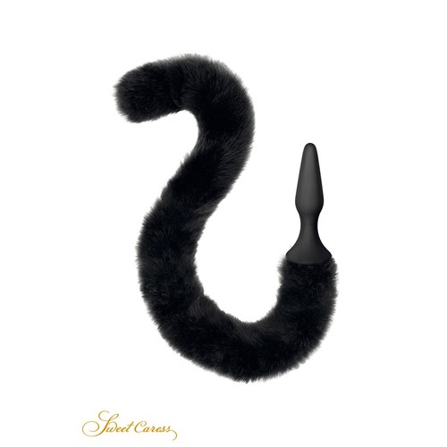 Plug anal queue chat noir - chat,