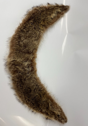 Vintage coyote queue - coyote, fourrure